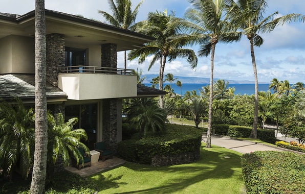 maui-hawaii-luxury-home-palm.jpg