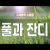 지체들의 누림글 350회 - 풀과 잔디